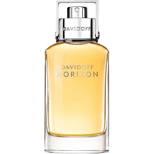 عطر دیویدف هوریزون (دیویدوف هوریزن) DAVIDOFF Horizon